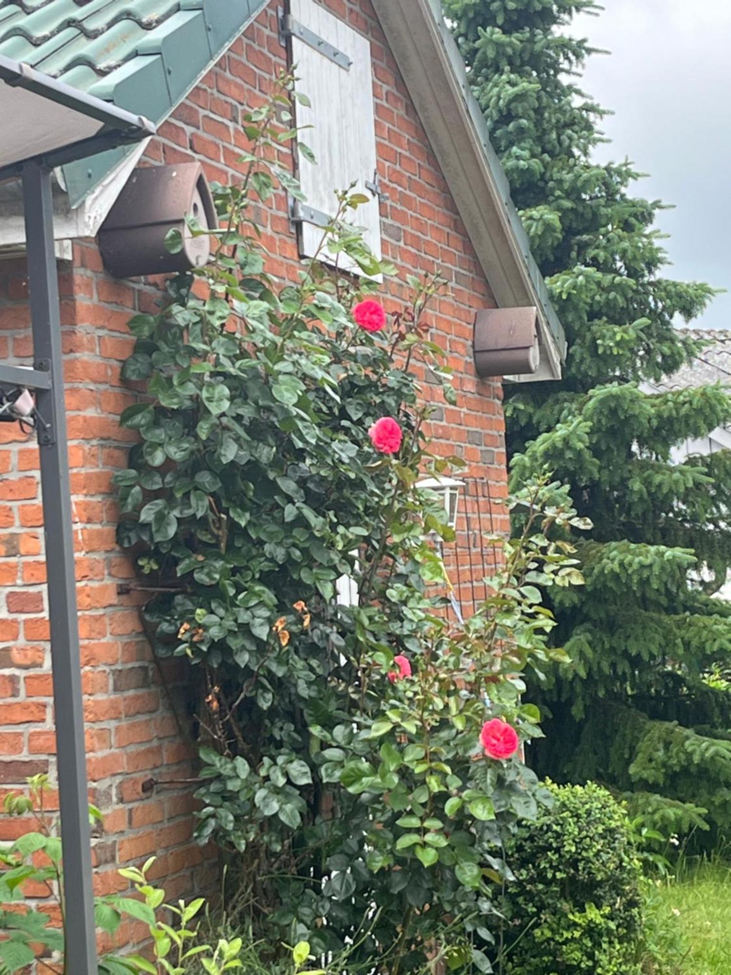 Gartenzimmer Zwischen Den Meeren Ladelund Екстер'єр фото
